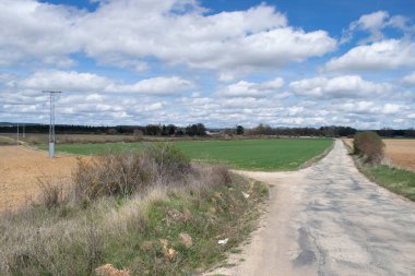 Baharda tarladan geçen yol.