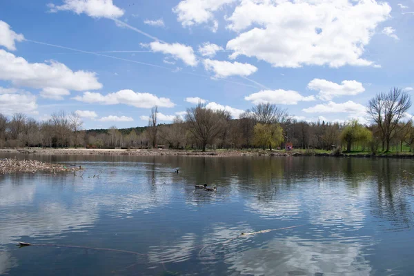 春天的湖水景观 — 图库照片