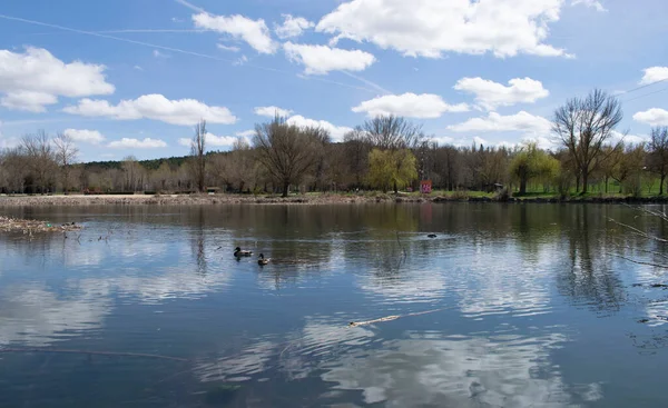 春天的湖水景观 — 图库照片