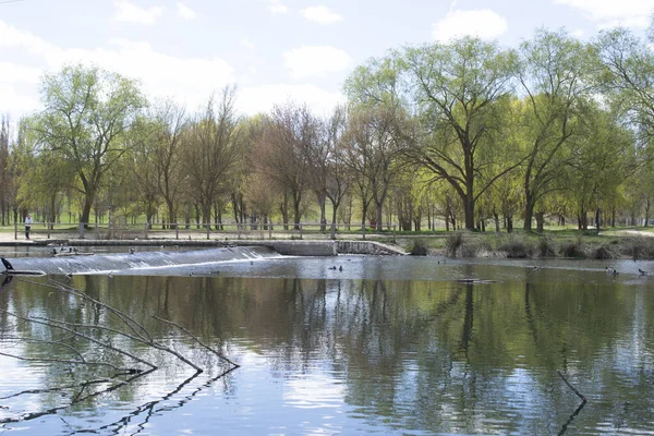 Krajobraz Jeziora Rzeki Wiosną — Zdjęcie stockowe