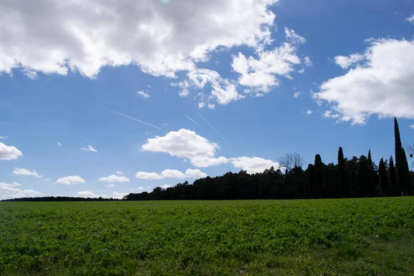 Baharda yeşil tarım arazilerinin manzarası.