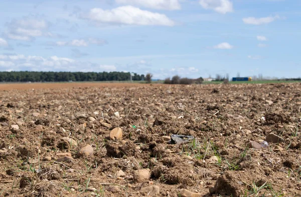 Landscape Plowed Farmland Spring — Stock Photo, Image