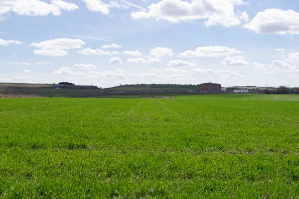 Baharda yeşil tarım arazilerinin manzarası.