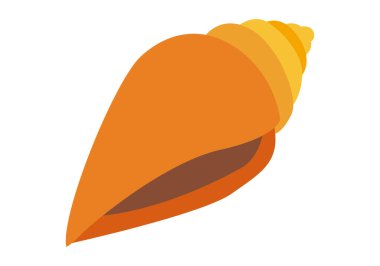 Beyaz arkaplanda turuncu kabuk.