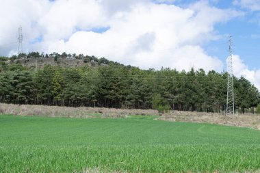 Bulutlu bir günde tarım arazilerinin manzaraları.