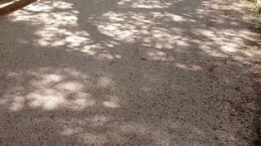 Baharda parklar ve bahçeler.