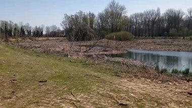 Bir parkta nehir manzarası ve göl.