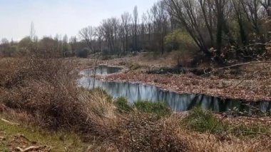 Bir parkta nehir manzarası ve göl.