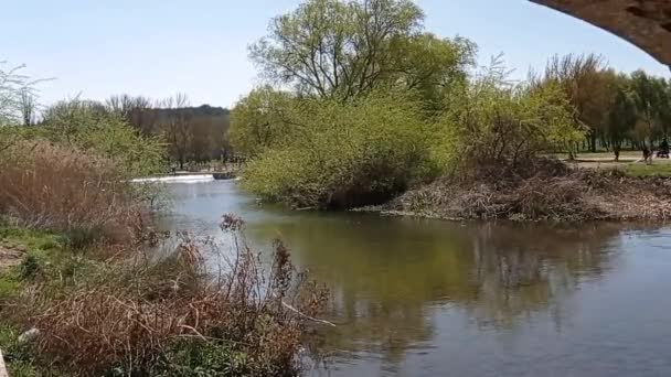 Bir Parkta Nehir Manzarası Göl — Stok video