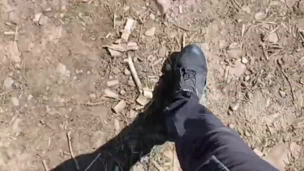 Bir Patika Boyunca Yürüyen Bacak Ayakların Videosu — Stok video