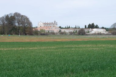 Çayır 'daki yeşil bahar tarlaları.