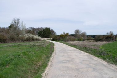Yaz aylarında tarlalarda yol.