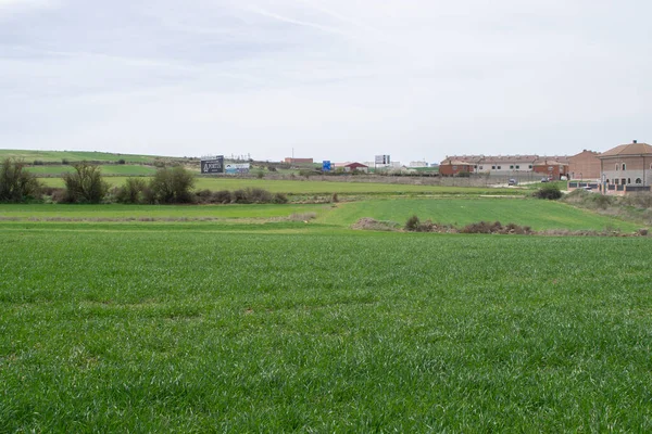 Green Spring Farm Felder Der Prärie — Stockfoto