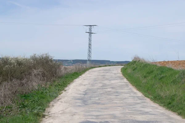 Yaz aylarında tarlalarda yol.