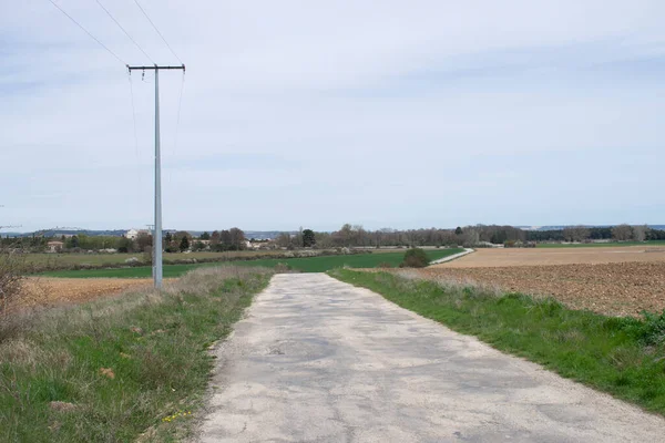 Straße Durch Landwirtschaftliche Felder Sommer — Stockfoto