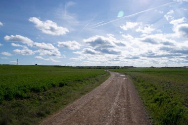Yol ile tarım alanları peyzaj.