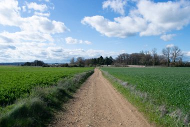 Yol ile tarım alanları peyzaj.