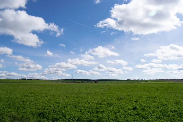 Güneşli bir günde çayırdaki tarlaların manzarası.