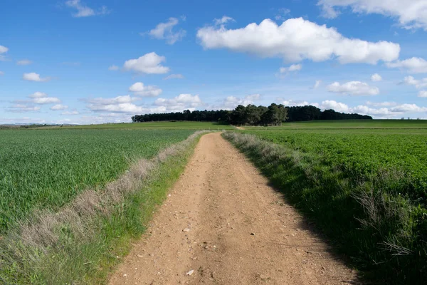 Yol ile tarım alanları peyzaj.