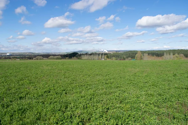 Landscape Farm Fields Meadow Sunny Day — Stock Photo, Image