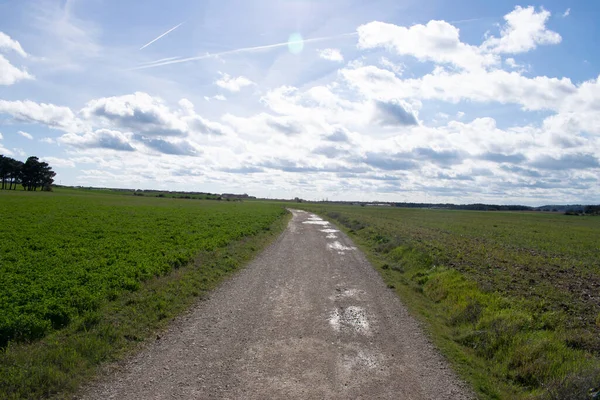 Yol ile tarım alanları peyzaj.