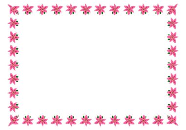 Beyaz arkaplandaki zambaklar