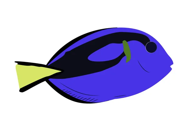 Pesce Chirurgo Pesce Blu Nero Giallo Sfondo Bianco — Vettoriale Stock