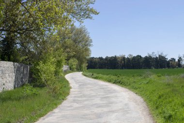 Baharda bir yolun kesiştiği tarlalar..