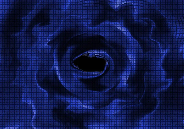 Blume Blauem Gitter Blaue Rose — Stockfoto