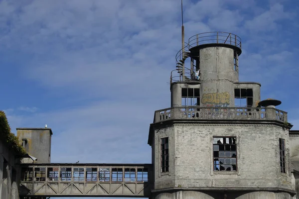 Bâtiments Industriels Abandonnés Avec Vignes — Photo