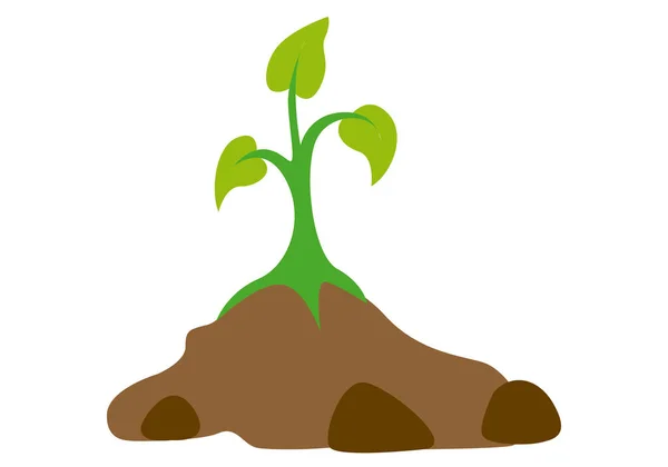 Sprout Van Een Plant Een Stuk Land — Stockvector