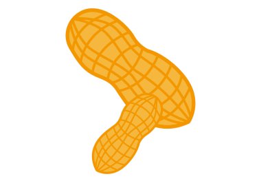 Beyaz arkaplanda iki fıstık simgesi.