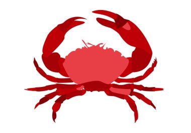 Beyaz arkaplanda kırmızı deniz yengeci simgesi.