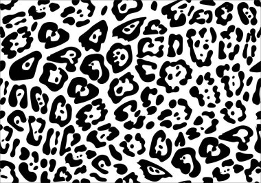 Siyah beyaz kaplan derisi.