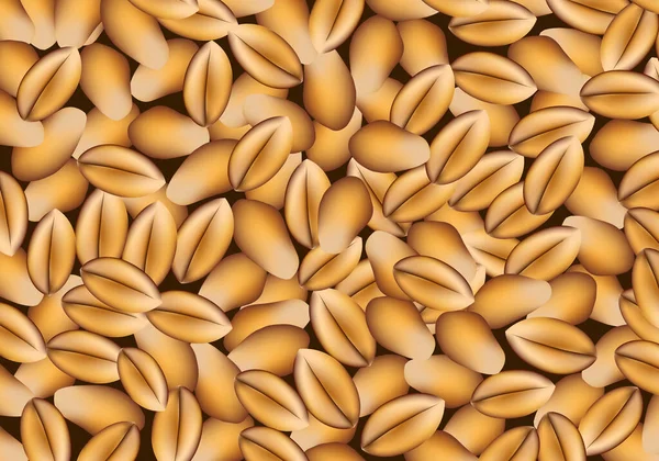 Wheat Grains Background Dark Background Cereal — Archivo Imágenes Vectoriales