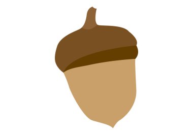 Acorn brown icon on white background.