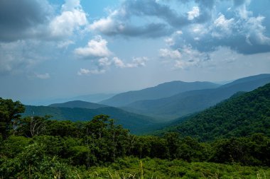 Ormanların üzerinden Shenandoah Vadisi 'nin dağlarına bakan geniş açılı bir manzara fotoğrafı..