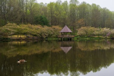 Rengarenk bir bahçenin fotoğrafı. Suyun üzerinde bir çardak var..
