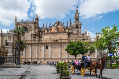 Seville, İspanya -- 15 Mayıs 2022. Plaza Nuevo 'daki turistlerin fotoğrafı. Arka planda katedralle at arabası gezisine çıkın..