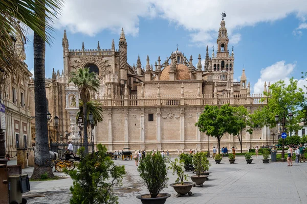 Seville, İspanya -- 15 Mayıs 2022. Bahar günü Sevilla Katedrali ve kasaba meydanının geniş açılı bir görüntüsü..