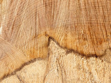 Kahverengi ahşap kalas dokusu. Ahşap yüzey arkaplanı