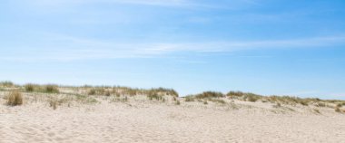 Hollanda 'da Nord Denizi kıyısındaki kum tepeleri