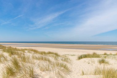 Hollanda 'da Nord Denizi kıyısındaki kum tepeleri