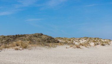 Hollanda 'da Nord Denizi kıyısındaki kum tepeleri