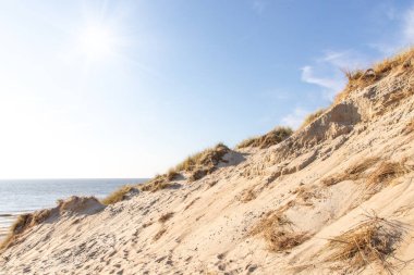 Hollanda 'da Nord Denizi kıyısındaki kum tepeleri