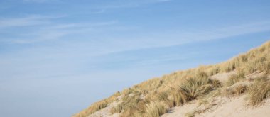 Hollanda 'da Nord Denizi kıyısındaki kum tepeleri