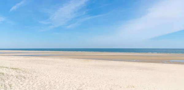 Sand Dunes Coast Nord Sea Netherlands — Stockfoto