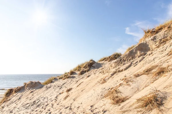 Dunas Areia Costa Mar Norte Nos Países Baixos — Fotografia de Stock