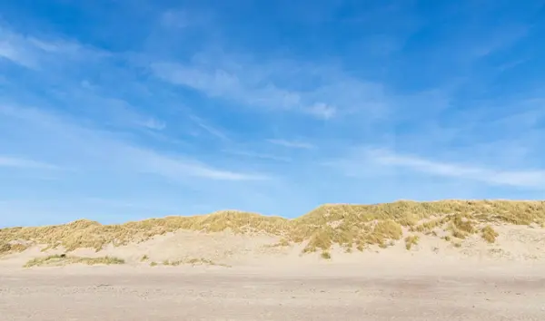 Sand Dunes Coast Nord Sea Netherlands — Fotografia de Stock