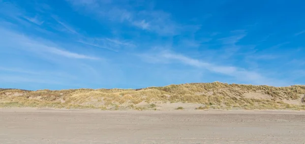 Sand Dunes Coast Nord Sea Netherlands — Fotografia de Stock